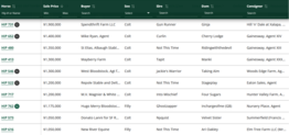 Estos fueron los yearlings más caros en la tercera sesión de Keenland