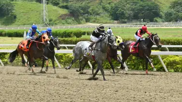 De paseo a la victoria: El favorito de la R35 demuestra su poderío en el entrenamiento De paseo a la victoria: El favorito de la R35 demuestra su poderío en el entrenamiento