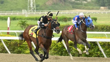 Merecido: Este caballo logra el mejor ajuste y ahora es el favorito para el Clásico Millard Ziadie (G2)