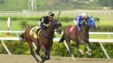 Merecido: Este caballo logra el mejor ajuste y ahora es el favorito para el Clásico Millard Ziadie (G2) Merecido: Este caballo logra el mejor ajuste y ahora es el favorito para el Clásico Millard Ziadie (G2)