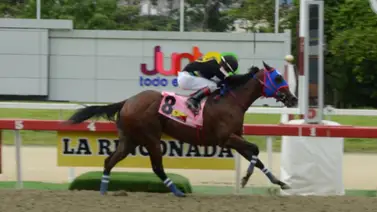 El dato bomba: Descubre el ajuste de la línea de Gaceta Hípica que podría hacerte ganar en el 5y6 El dato bomba: Descubre el ajuste de la línea de Gaceta Hípica que podría hacerte ganar en el 5y6