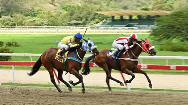 Hay un ajuste de una yegua que pudiera comprometer el triunfo de la gran favorita del 5y6 nacional Hay un ajuste de una yegua que pudiera comprometer el triunfo de la gran favorita del 5y6 nacional