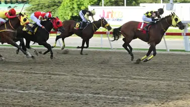 No te lo pierdas: Mira cómo queda el ajuste de la sorpresa de Gaceta Hípica que se encuentra listo para la quinta válida No te lo pierdas: Mira cómo queda el ajuste de la sorpresa de Gaceta Hípica que se encuentra listo para la quinta válida