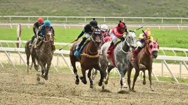 Te revelamos el “robo de toda Venezuela” con nombre de yegua y participa en la segunda válida para el 5y6 Te revelamos el “robo de toda Venezuela” con nombre de yegua y participa en la segunda válida para el 5y6