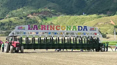 Atención: Entre los purasangres importados hay una yegua que hará su debut en el 5y6 de La Rinconada Atención: Entre los purasangres importados hay una yegua que hará su debut en el 5y6 de La Rinconada