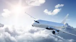 EEUU implementó una ley por el 11 de Sep en todos los aeropuertos y vuelos del país