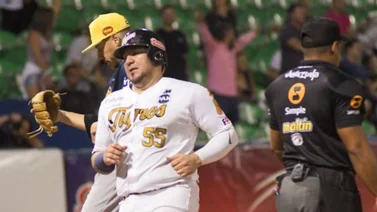 Tigres de Aragua dejan en libertad a varios peloteros de experiencia