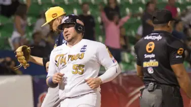 Tigres de Aragua dejan en libertad a varios peloteros de experiencia Tigres de Aragua dejan en libertad a varios peloteros de experiencia