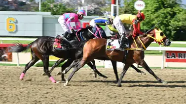 A esta hora: Aquí te damos la información más "regada" para la quinta válida del 5y6 de la R35 A esta hora: Aquí te damos la información más "regada" para la quinta válida del 5y6 de la R35