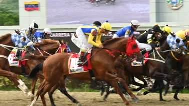  Favoritos de la cátedra para el 5y6 Nacional de la reunión N°35 en el hipódromo La Rinconada 