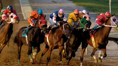 Hijo de yegua venezolana desplegó todo su poder para igualar a Radiance, como los criollos mayores ganadores en Estados Unidos   Hijo de yegua venezolana desplegó todo su poder para igualar a Radiance, como los criollos mayores ganadores en Estados Unidos