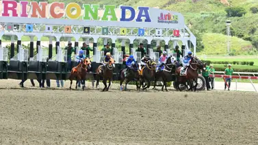 Datos de Última Hora para el Hipódromo La Rinconada 14-9-2025 Datos de Última Hora para el Hipódromo La Rinconada 14-9-2025