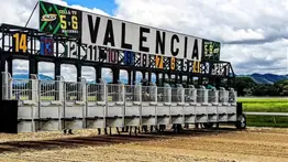 Un ejemplar ha sido retirado de la reunión 18 en Valencia 13-9-2025