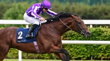Ejemplar irlandés Delacroix obtiene su pasaje directo para la Breeders' Cup Turf
