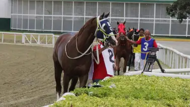 Estos son los retirados de la Reunión N°35 en La Rinconada 14-9-2025 Estos son los retirados de la Reunión N°35 en La Rinconada 14-9-2025