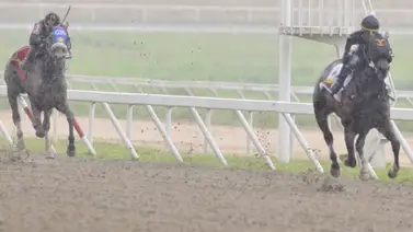 Asi quedaron los resultados de las carreras en La Rinconada 14-9-2025 Asi quedaron los resultados de las carreras en La Rinconada 14-9-2025