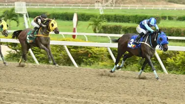 Comisarios de La Rinconada indagan a entrenador y jinete aprendiz luego de concluida la reunión 35 Comisarios de La Rinconada indagan a entrenador y jinete aprendiz luego de concluida la reunión 35