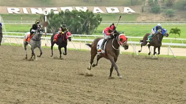 Autoridades de La Rinconada sancionan a jinete aprendiz: Los detalles de la multa Autoridades de La Rinconada sancionan a jinete aprendiz: Los detalles de la multa