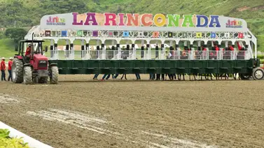 Derrota inesperada: Descubre por qué perdió la yegua más popular del 5y6 Derrota inesperada: Descubre por qué perdió la yegua más popular del 5y6