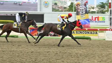 Fast Sensations a mantener su hegemonía ante sus rivales en el Clásico XXV Clásico “Hípica Nacional” (GI) Fast Sensations a mantener su hegemonía ante sus rivales en el Clásico XXV Clásico “Hípica Nacional” (GI)