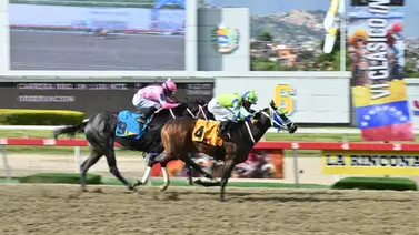 A la caza de un nuevo clásico: Bella del Cielo en el Lanzarina este domingo en La Rinconada A la caza de un nuevo clásico: Bella del Cielo en el Lanzarina este domingo en La Rinconada