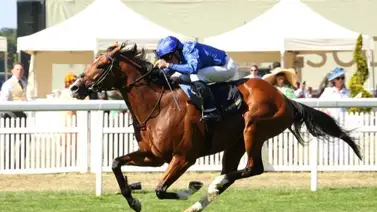 Ombudsman se convierte en el nuevo líder Longines World Best Ombudsman se convierte en el nuevo líder Longines World Best