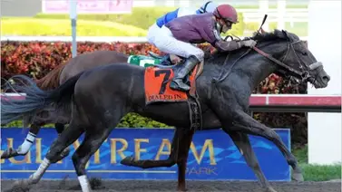 Hija de ganador del Florida Derby (GI) hace su estreno este domingo en La Rinconada 