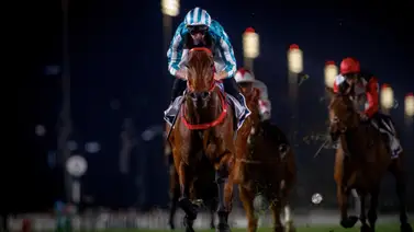 El mejor caballo del mundo vuelve al ruedo a finales de este mes El mejor caballo del mundo vuelve al ruedo a finales de este mes