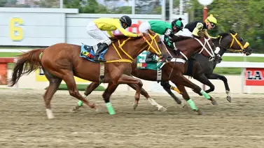 Este hijo de Pine Shelter que en su última fue el principal favorito para el 5y6 regresa al óvalo de La Rinconada tras 84 días sin correr Este hijo de Pine Shelter que en su última fue el principal favorito para el 5y6 regresa al óvalo de La Rinconada tras 84 días sin correr