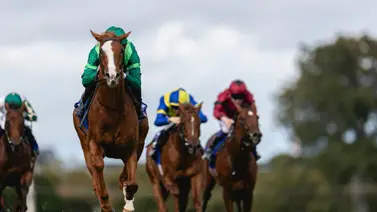 Benvenuto Cellini por vía de galope clasificó para la Breeders’ Cup Juvenile Turf