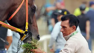 Luis Martin: “Con un poco de Fe podemos pescar esta carrera en los metros finales” Luis Martin: “Con un poco de Fe podemos pescar esta carrera en los metros finales”