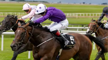 Arizona Blaze mostró todo su poder para ganar en Curragh Arizona Blaze mostró todo su poder para ganar en Curragh