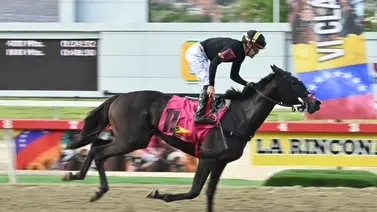 Con el ajuste de la línea de Gaceta Hípica le genera confianza para buscar su victoria en el Clásico Victoreado (GIII) Con el ajuste de la línea de Gaceta Hípica le genera confianza para buscar su victoria en el Clásico Victoreado (GIII)