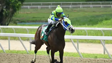 El ajuste cómodo de Bella del Cielo la coloca como la principal aspirante para llevarse el Clásico Lanzarina (GII) El ajuste cómodo de Bella del Cielo la coloca como la principal aspirante para llevarse el Clásico Lanzarina (GII)