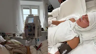 Bella Hadid enfrenta delicada enfermedad transmitida por las garrapatas Bella Hadid enfrenta delicada enfermedad transmitida por las garrapatas