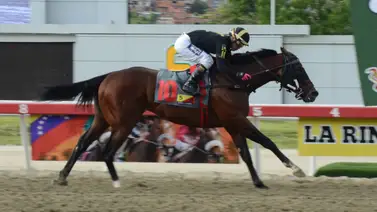 El ajuste que lo cambia todo: Special Element se prepara para extender su racha de victorias en el Clásico Jockey Club (GI) El ajuste que lo cambia todo: Special Element se prepara para extender su racha de victorias en el Clásico Jockey Club (GI)