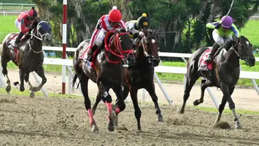 Es un hecho: Descubre a esta hora el dato más corrido que participa en la segunda válida y prepárate para ganar Es un hecho: Descubre a esta hora el dato más corrido que participa en la segunda válida y prepárate para ganar