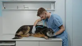 Anuncian atención veterinaria integral este viernes 19 de septiembre (+Detalles)