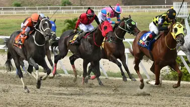 Favoritos de la cátedra para el 5y6 Nacional de la reunión N°36 en el hipódromo La Rinconada