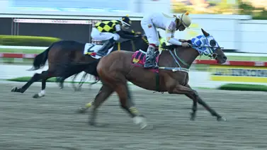 Datos de Última Hora para el Hipódromo La Rinconada 21-9-2025 Datos de Última Hora para el Hipódromo La Rinconada 21-9-2025