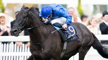 Rebel’s Romance doble ganador de la Breeders’Cup nominado al Joe Hirsch Turf Classic G1 Rebel’s Romance doble ganador de la Breeders’Cup nominado al Joe Hirsch Turf Classic G1