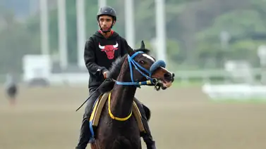 Leomar Sangronis tendrá su primera participación en esta prueba selectiva de la R36 (+Video) Leomar Sangronis tendrá su primera participación en esta prueba selectiva de la R36 (+Video)