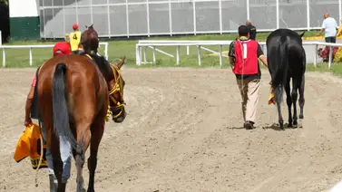 Atención: Retirado uno de los datos más sonados de la cuarta válida para el 5y6 dominical Atención: Retirado uno de los datos más sonados de la cuarta válida para el 5y6 dominical