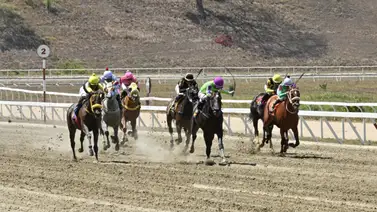 La derrota que nadie vio venir: Descubre lo qué salió mal con la yegua favorita del ciclo no válido en La Rinconada La derrota que nadie vio venir: Descubre lo qué salió mal con la yegua favorita del ciclo no válido en La Rinconada