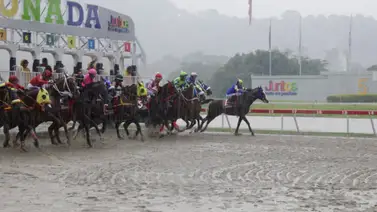 Emotivo: Conocido entrenador gana su primera carrera del año y lanza este conmovedor mensaje Emotivo: Conocido entrenador gana su primera carrera del año y lanza este conmovedor mensaje