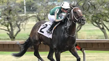 Christopher Elliott se lleva un stakes este lunes en New York Christopher Elliott se lleva un stakes este lunes en New York