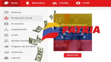 Sistema Patria