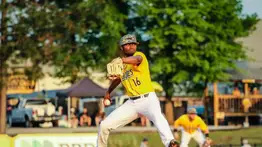 LVBP: Leones del Caracas anuncian importado relevista que también puede jugar como outfield 