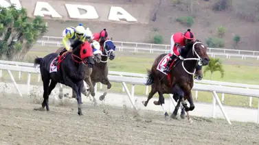 Reaparición estelar en La Rinconada: Vuelve a la acción el ejemplar que superó a El De Froix Reaparición estelar en La Rinconada: Vuelve a la acción el ejemplar que superó a El De Froix