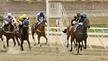 El regreso más esperado: Yegua importada que generó gran expectativa vuelve a correr después de 161 días El regreso más esperado: Yegua importada que generó gran expectativa vuelve a correr después de 161 días